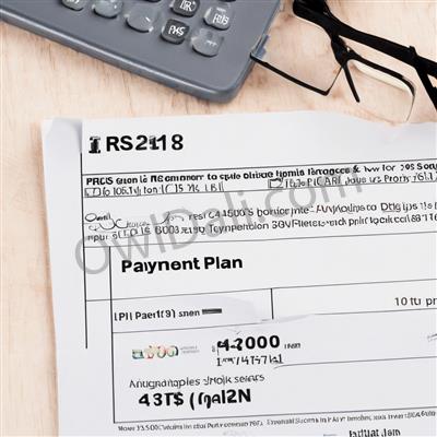 How does irs payment plan work